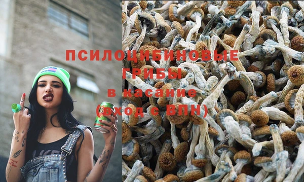 спайс Ладушкин