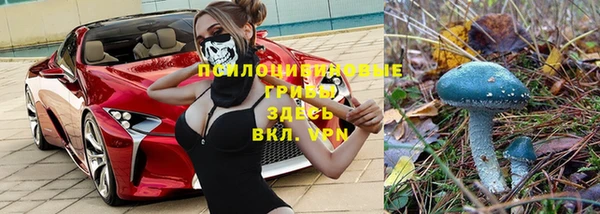 ALPHA PVP Кукмор
