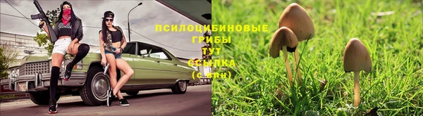 кокс Кулебаки