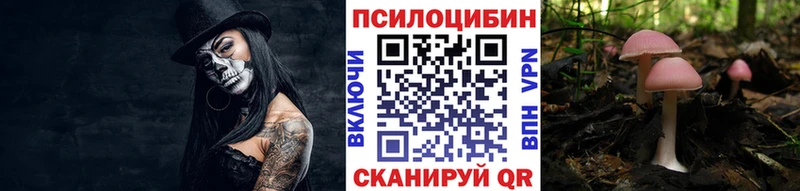 купить наркотики цена  kraken ССЫЛКА  Галлюциногенные грибы мухоморы  Полярные Зори 